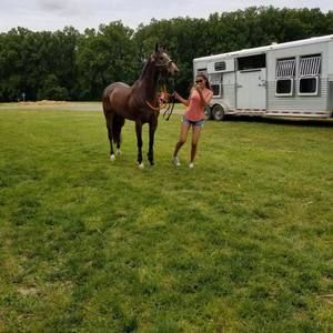 Meet your Posher, Krystal renee